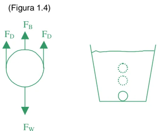 Figura 1.3 Materia flotante. 
