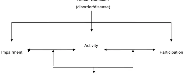 Figure 2.  Current Understanding of Interactions within ICIDH-2 Dimensions 