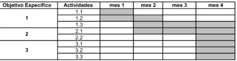 Tabla 1: Cronograma de Actividades