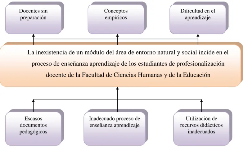 Gráfico Nº 1 Árbol de Problemas 