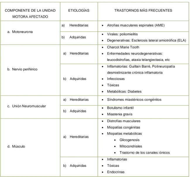 TABLA 1: CLASIFICACIÓN DE LAS TRASTORNOS NEUROMUSCULARES 10  (AVARIA, 2002) 