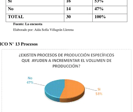 GRÁFICO N° 13 Procesos  