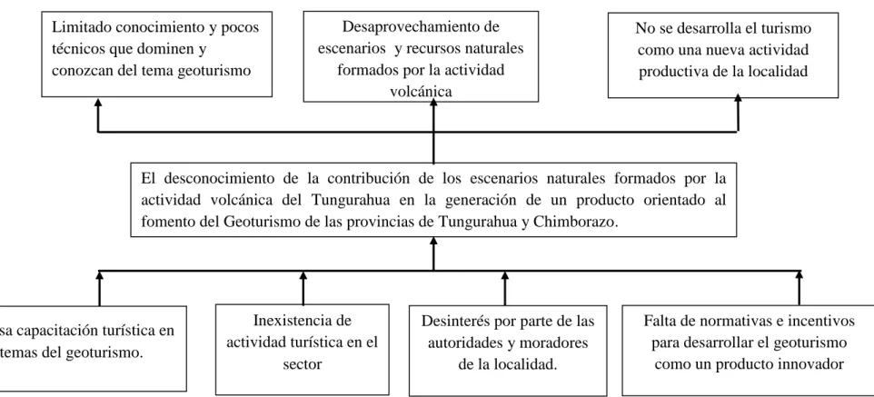 Gráfico 2: Árbol de Problemas