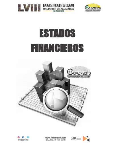 Informe Y Dictamen Del Revisor Fiscal Estados Financieros
