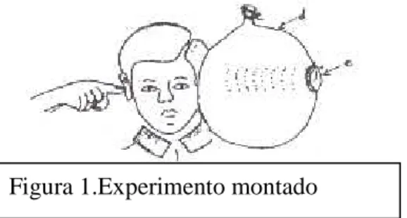 Figura 1.Experimento montado 