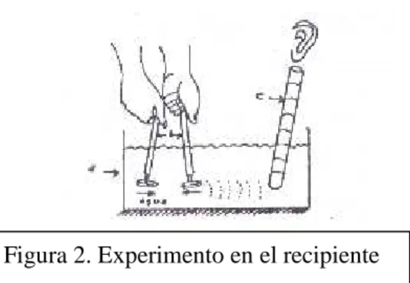 Figura 2. Experimento en el recipiente 