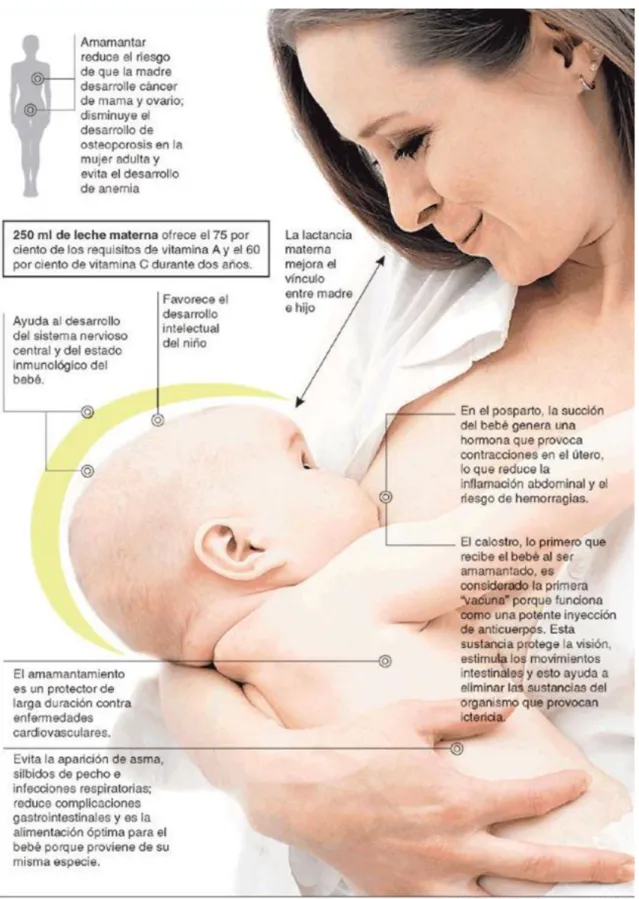 Figura 2: Las ventajas de la leche materna. Ministerio de Salud de la Provincia  de Buenos Aires