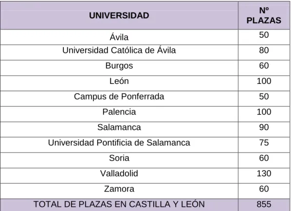 Tabla 3.- Plazas del curso 2017-2018 de enfermería en Castilla y León. 