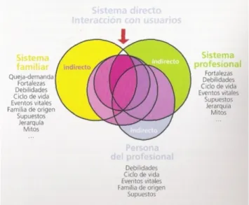 Figura 3. Sistema Profesional. Guía de Intervención Familiar. Escudero (2010) 