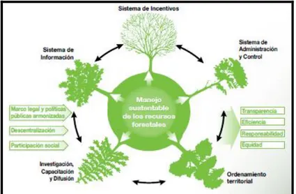 Figura 2.2: Modelo de Gestión Forestal – Ecuador 