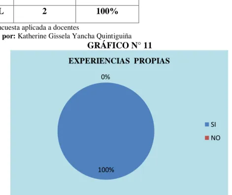 GRÁFICO N° 11 
