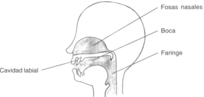 Fig. 3: Principales resonadores 