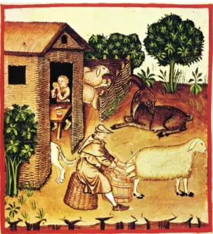 Fig. 7. Ilustración de un campesino del siglo XIV del manual para la salud “Tacuinum sanitatis”