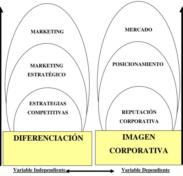 Gráfico 2: Variable Independiente, Diferenciación y   Variable Dependiente: Imagen Corporativa 