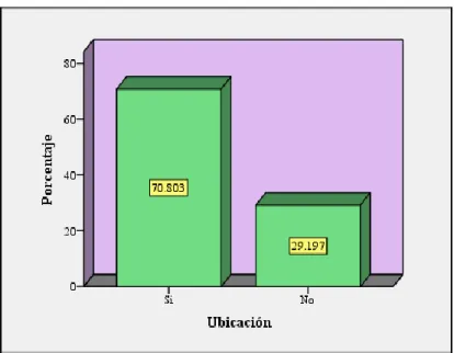 Gráfico 8: Ubicación 
