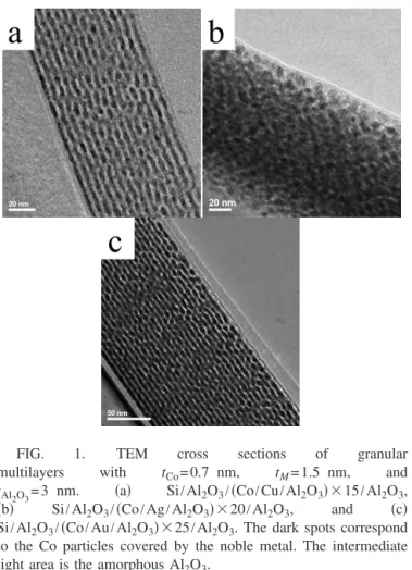 FIG. 1. TEM cross sections of granular