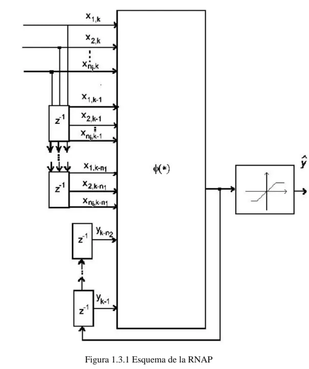 Figura 1.3.1 Esquema de la RNAP 