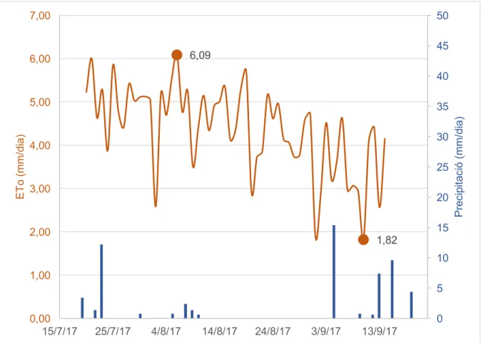 Figura 3. Evolució de l’ETo (mm/dia) i de la precipitació (mm/dia) durant el període d’estudi