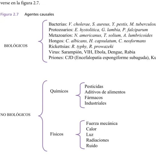 Figura 2 .7   Agentes causales