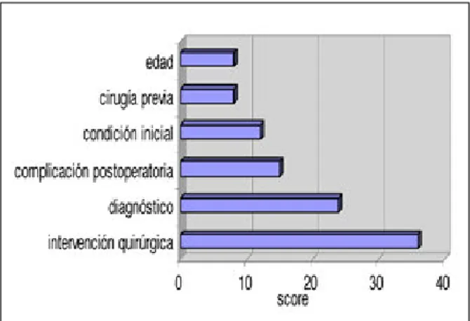 Figura  1.  Rangos  de  variación  del  score  para  cada  factor.