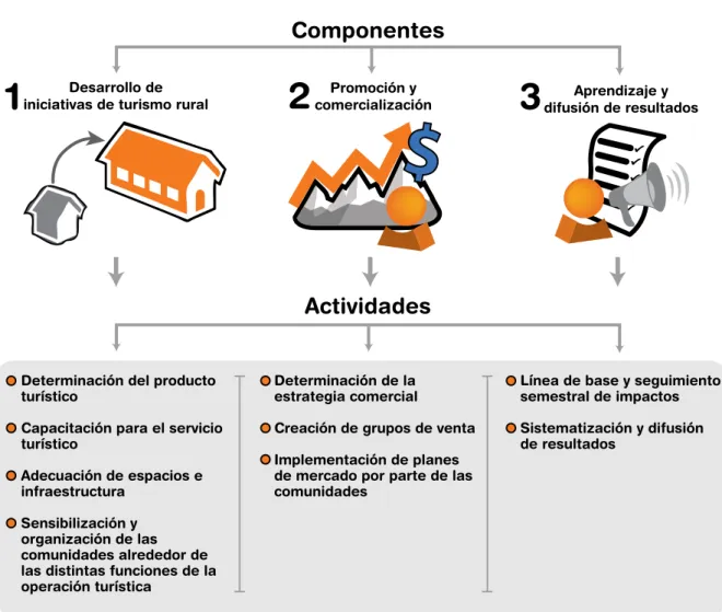 gráFiCO 8. COMPOnEntES y ACtiviDADES DEl PrOyECtO