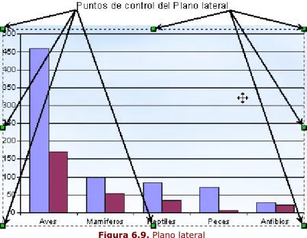 Figura 6.9. Plano lateral 