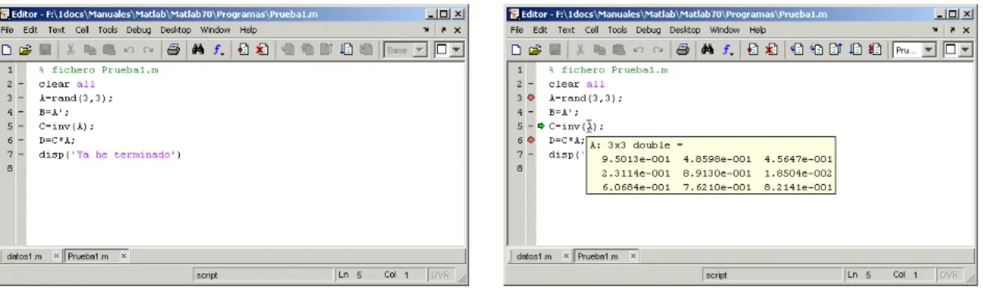 Figura 20. Ventana del Editor/Debugger.  Figura 21. Ejecución interactiva con el Editor/Debugger
