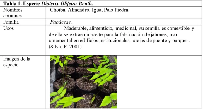 Tabla 1. Especie Dipterix Olifeira Benth.  