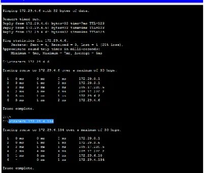 Ilustración 10 Tracert 2