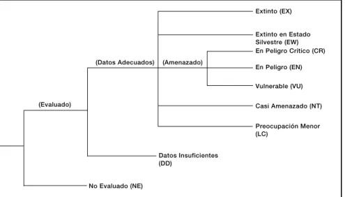 Figura 1. La estructura de las categorías.