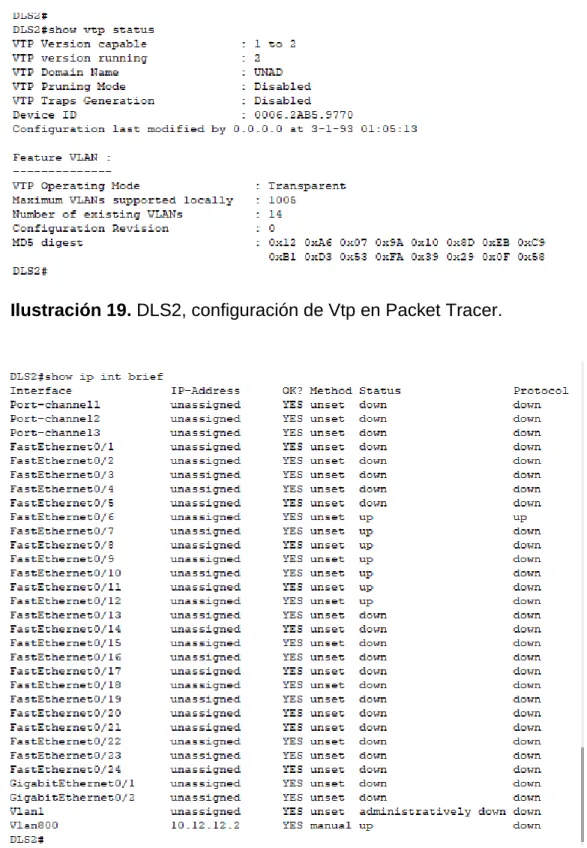 Ilustración 20. DLS2, configuración de Interface en Packet Tracer. 