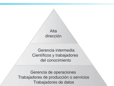 FIGURA 1-6 NIVELES DE UNA EMPRESA