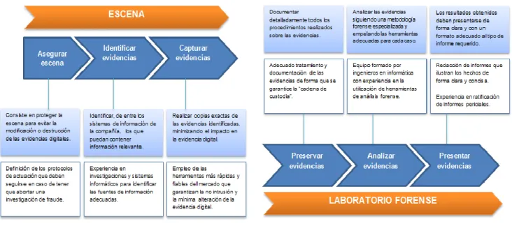 Figura 3.  Manejo de evidencias. 