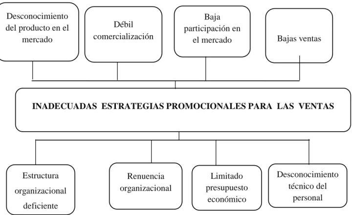 Gráfico 1: Árbol de  problemas 