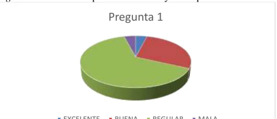 Figure 3. Statistic Graphic initial survey - 1st question 