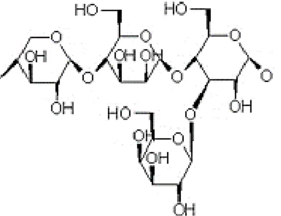 Figura 2. Estructura de la hemicelulosa, formada por xilosa- β (1, 4)-glucosa-α (1, 3)-galactosa 