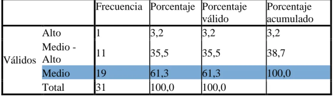 Tabla 13: Segmento de Mercado 