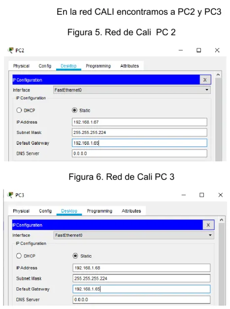 Figura 6. Red de Cali PC 3 