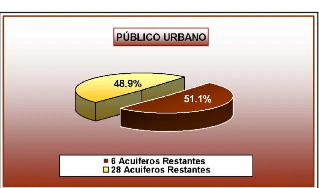 Figura I.3. Público urbano 