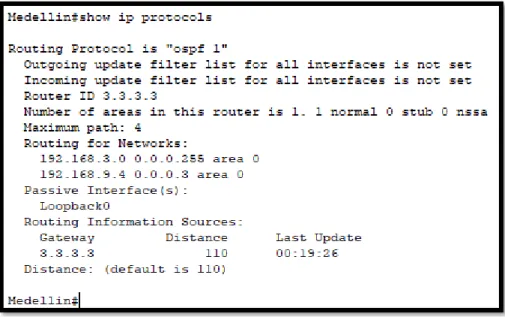 Figure 7. show ip protocols Medellin 