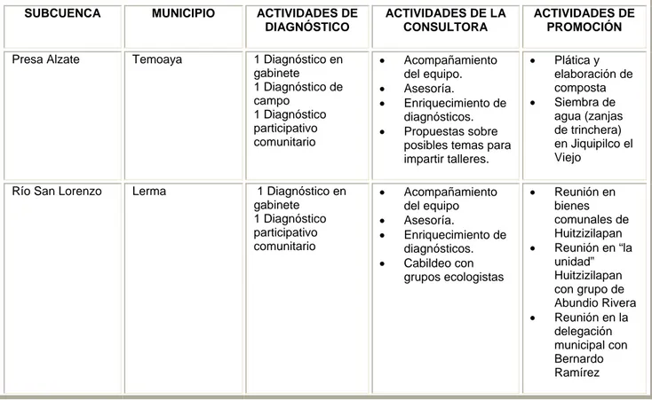 Tabla 1. Acciones realizadas  durante la consultoría 