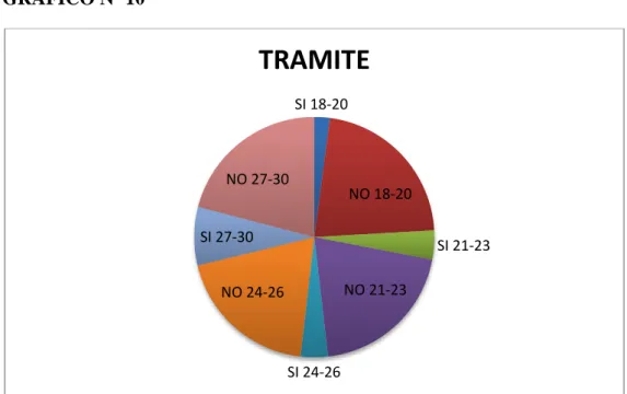 GRÁFICO Nº 10 