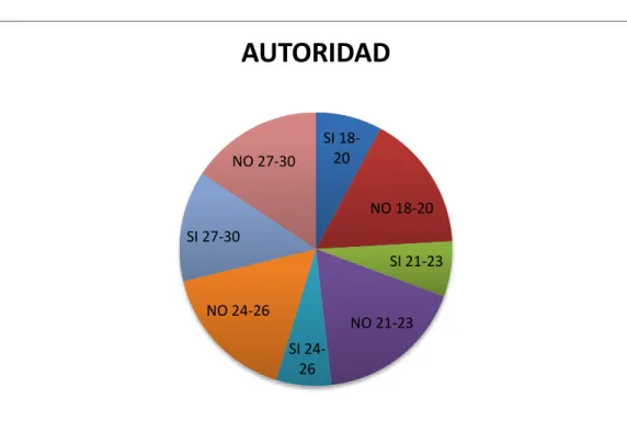 GRÁFICO Nº 11 