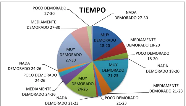 GRÁFICO Nº 12 
