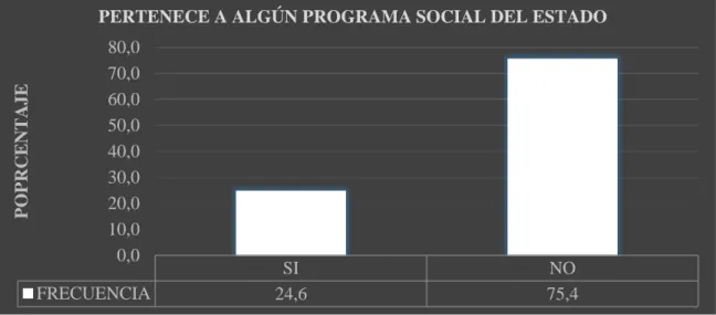 Gráfico 7. Pertenencia a programas del Estado 