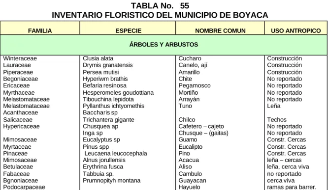 TABLA No.   55 