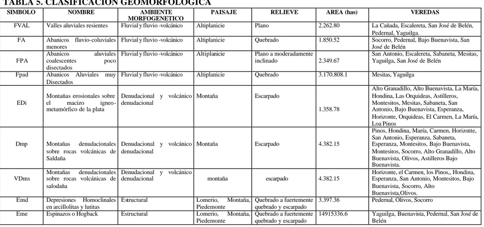 TABLA 5. CLASIFICACION GEOMORFOLOGICA 