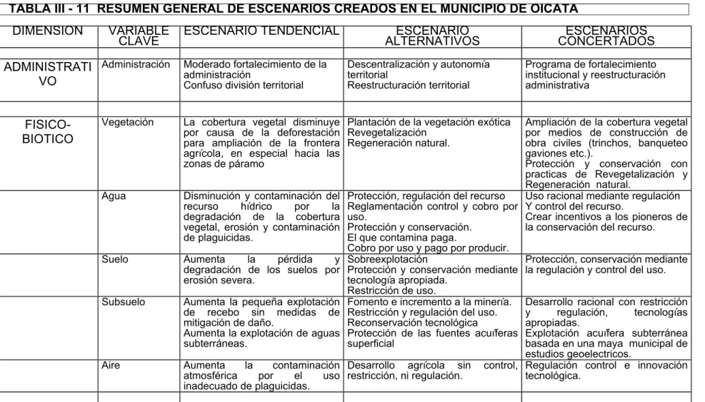 TABLA III - 11  RESUMEN GENERAL DE ESCENARIOS CREADOS EN EL MUNICIPIO DE OICATA 