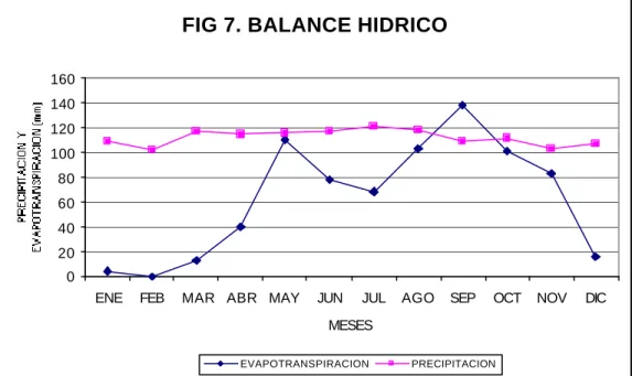 FIG 7. BALANCE HIDRICO 