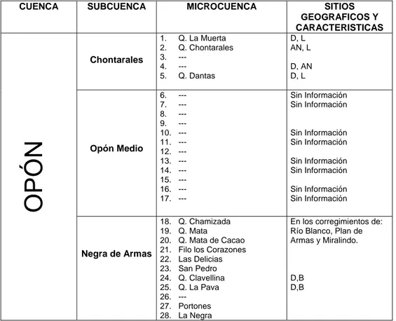 Cuadro 100.  Principales Subcuencas y microcuencas del municipio de Landázuri. (D: 